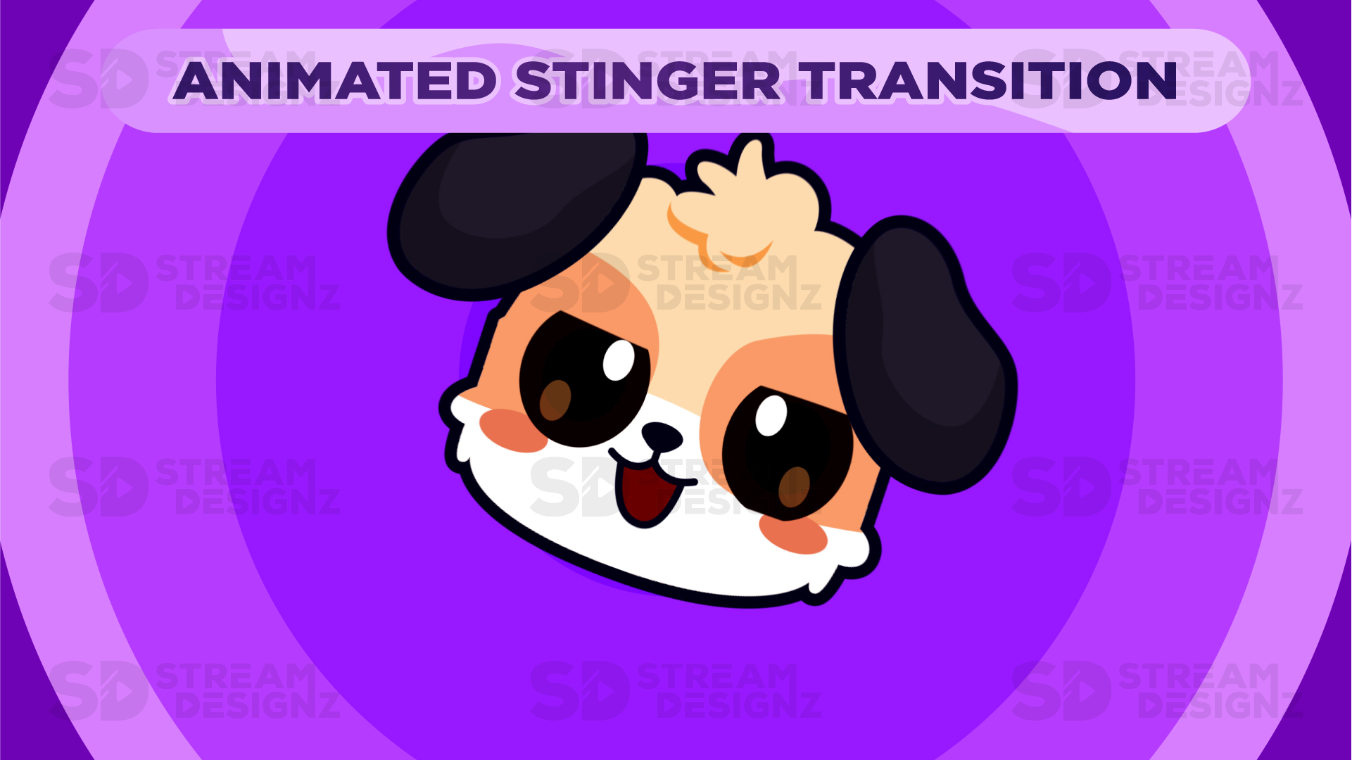 Stinger transition midnight lofi preview video stream designz