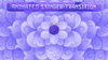 animated stinger transition preview video voyager stream designz