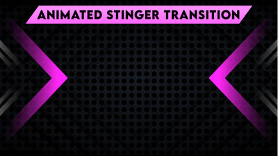 Stinger transition pink fury preview video stream designz