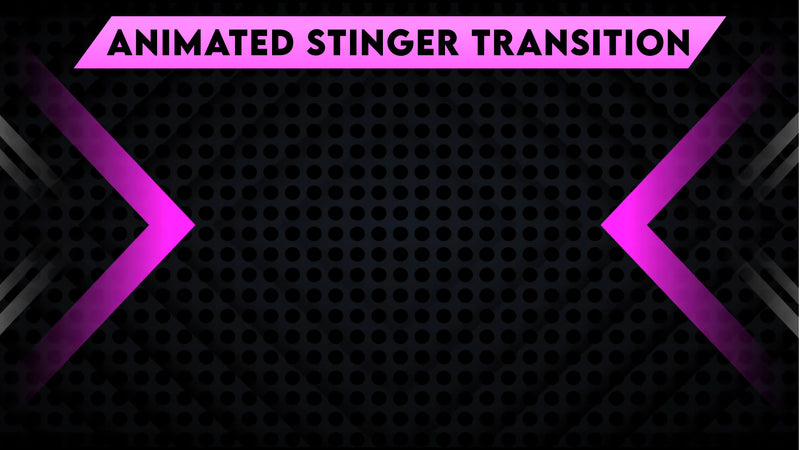 Stinger transition pink fury preview video stream designz
